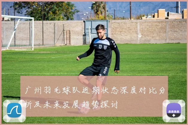 广州羽毛球队近期状态深度对比分析及未来发展趋势探讨