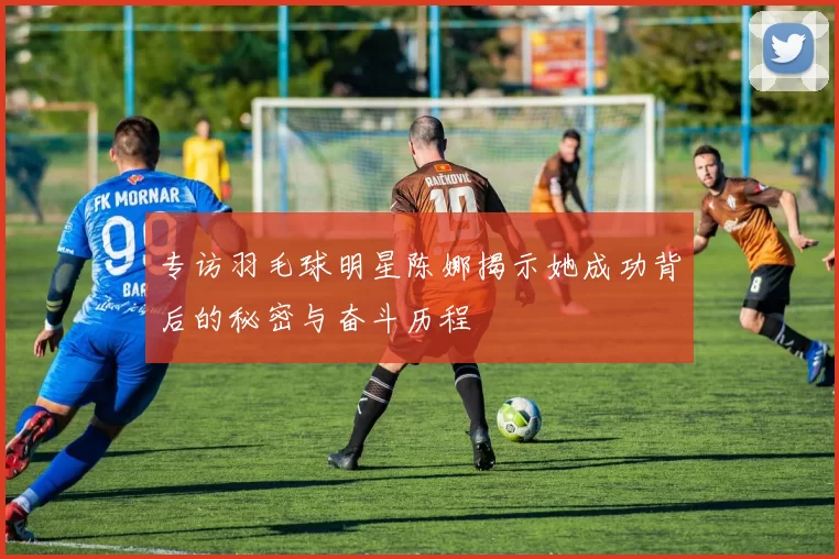 专访羽毛球明星陈娜揭示她成功背后的秘密与奋斗历程