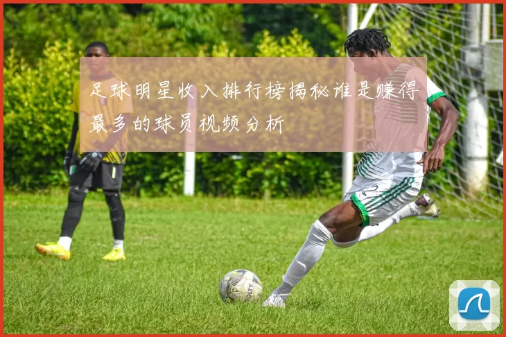 足球明星收入排行榜揭秘谁是赚得最多的球员视频分析