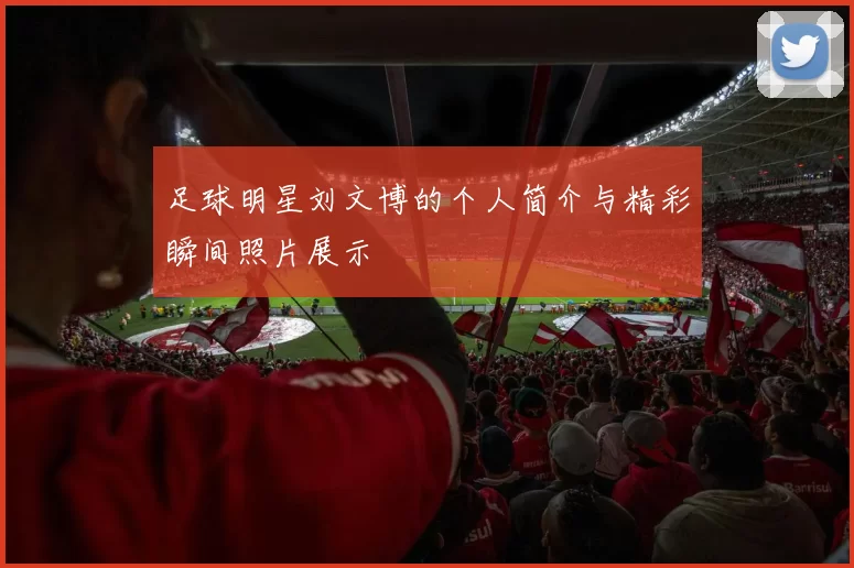 足球明星刘文博的个人简介与精彩瞬间照片展示