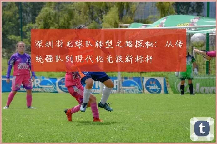 深圳羽毛球队转型之路探秘：从传统强队到现代化竞技新标杆
