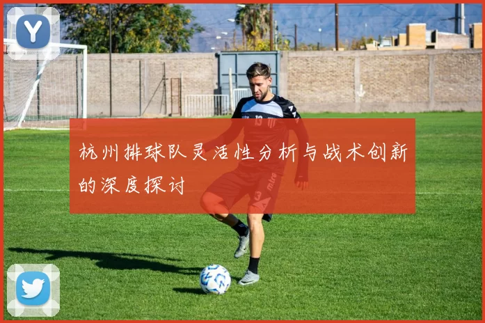 杭州排球队灵活性分析与战术创新的深度探讨