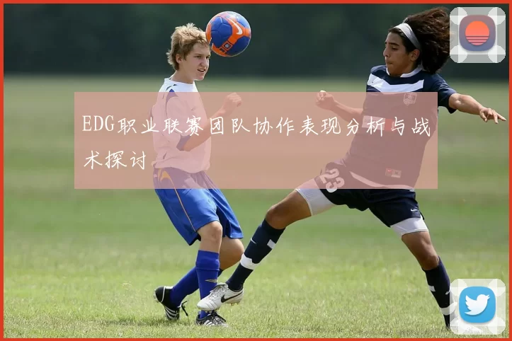 EDG职业联赛团队协作表现分析与战术探讨