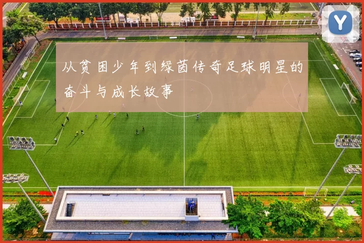 从贫困少年到绿茵传奇足球明星的奋斗与成长故事