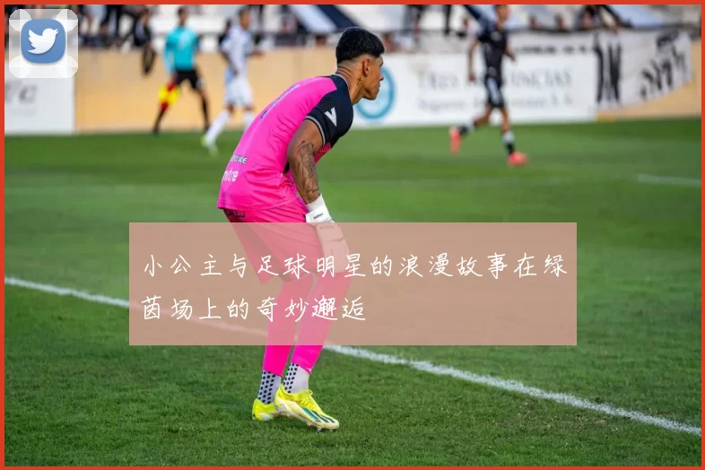 小公主与足球明星的浪漫故事在绿茵场上的奇妙邂逅
