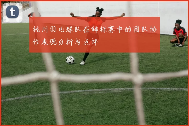 杭州羽毛球队在锦标赛中的团队协作表现分析与点评