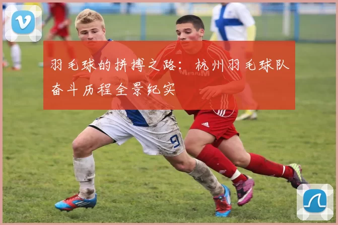 羽毛球的拼搏之路：杭州羽毛球队奋斗历程全景纪实
