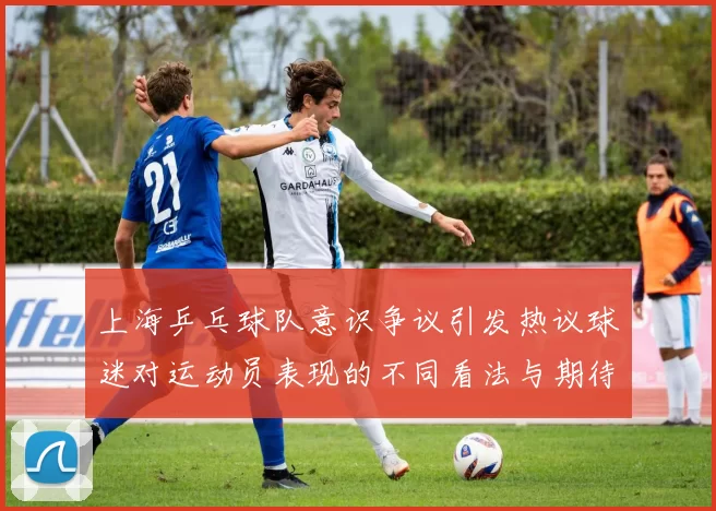 上海乒乓球队意识争议引发热议球迷对运动员表现的不同看法与期待
