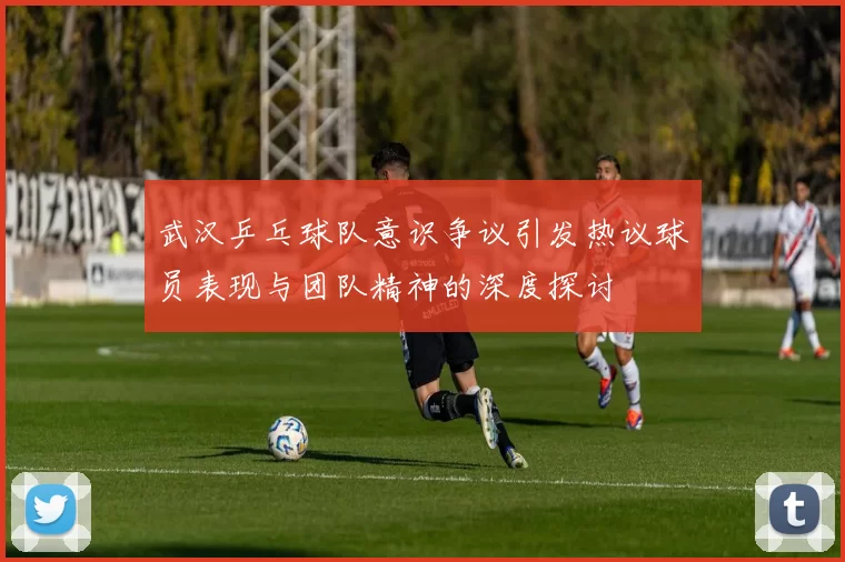武汉乒乓球队意识争议引发热议球员表现与团队精神的深度探讨