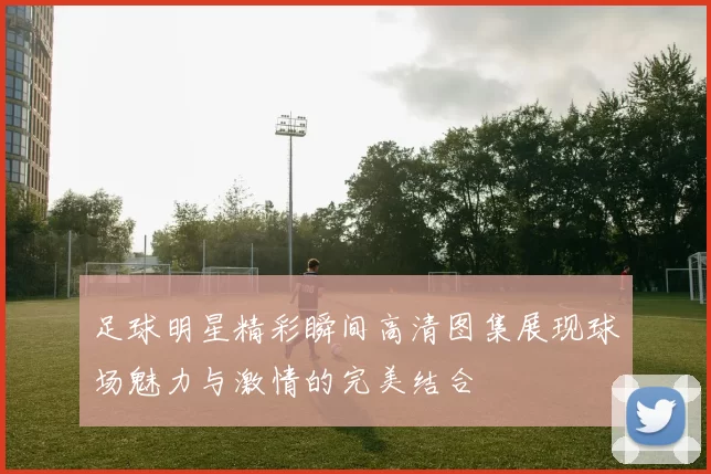 足球明星精彩瞬间高清图集展现球场魅力与激情的完美结合