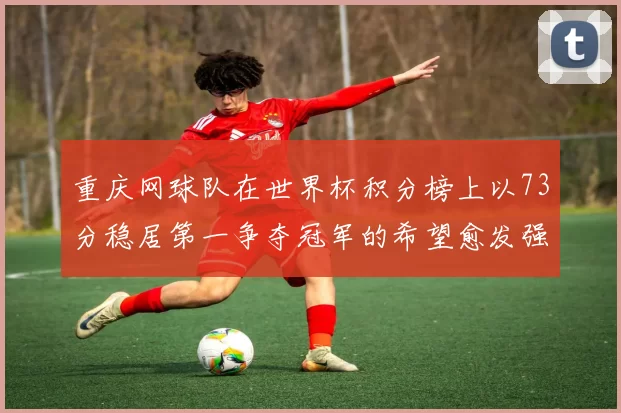 重庆网球队在世界杯积分榜上以73分稳居第一争夺冠军的希望愈发强烈