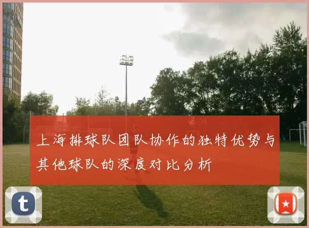 上海排球队团队协作的独特优势与其他球队的深度对比分析