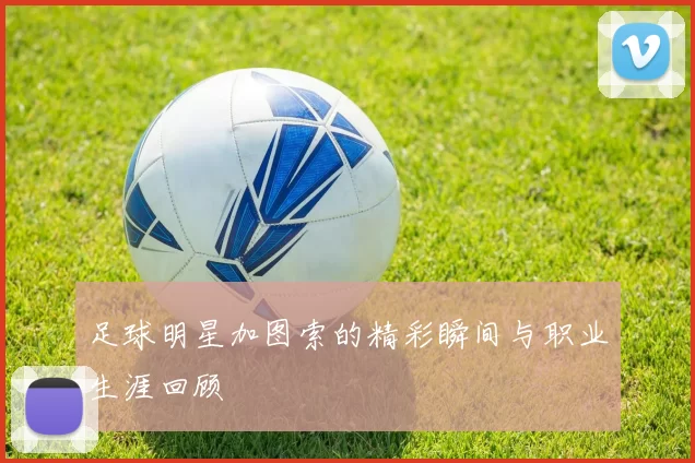 足球明星加图索的精彩瞬间与职业生涯回顾
