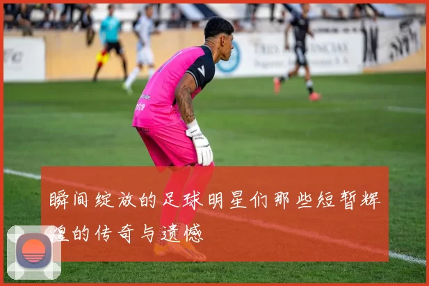 瞬间绽放的足球明星们那些短暂辉煌的传奇与遗憾