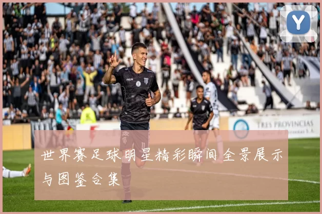 世界赛足球明星精彩瞬间全景展示与图鉴合集