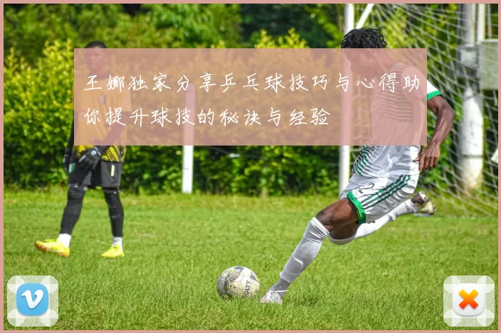 王娜独家分享乒乓球技巧与心得助你提升球技的秘诀与经验