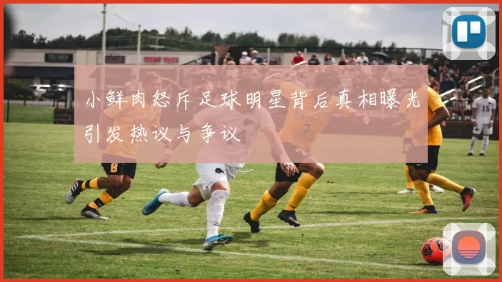 小鲜肉怒斥足球明星背后真相曝光引发热议与争议