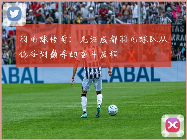 羽毛球传奇：见证成都羽毛球队从低谷到巅峰的奋斗历程