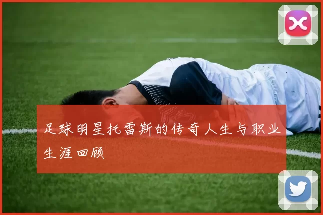足球明星托雷斯的传奇人生与职业生涯回顾