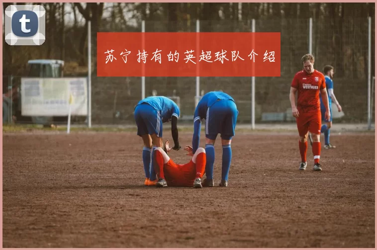 苏宁持有的英超球队介绍
