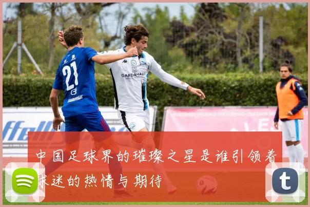 中国足球界的璀璨之星是谁引领着球迷的热情与期待