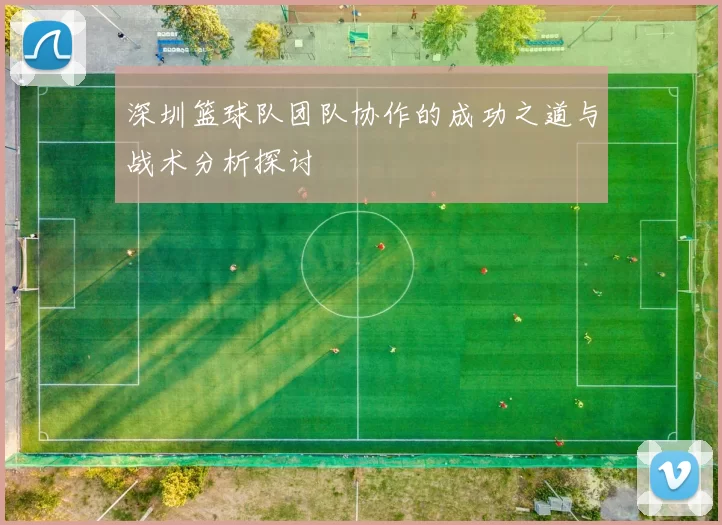 深圳篮球队团队协作的成功之道与战术分析探讨