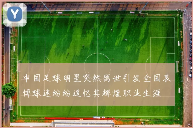 中国足球明星突然离世引发全国哀悼球迷纷纷追忆其辉煌职业生涯