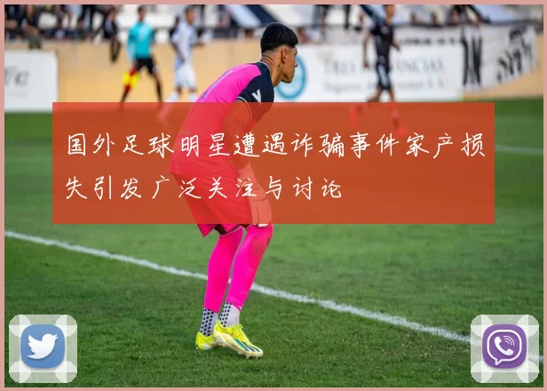 国外足球明星遭遇诈骗事件家产损失引发广泛关注与讨论